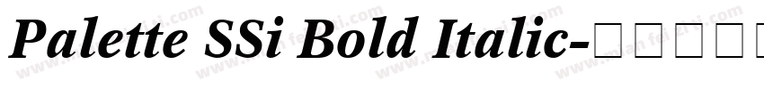 Palette SSi Bold Italic字体转换